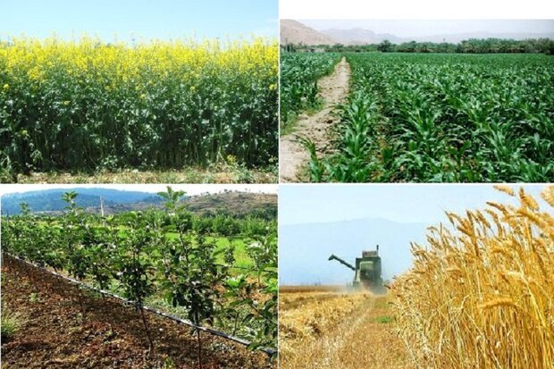 کالاهای اساسی و نهاده های کشاورزی در استان دربهترین حالت ممکن است