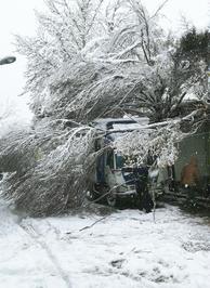 سقوط درخت روی خودرو به‌دلیل بارش برف در محدوده بازار تهران
