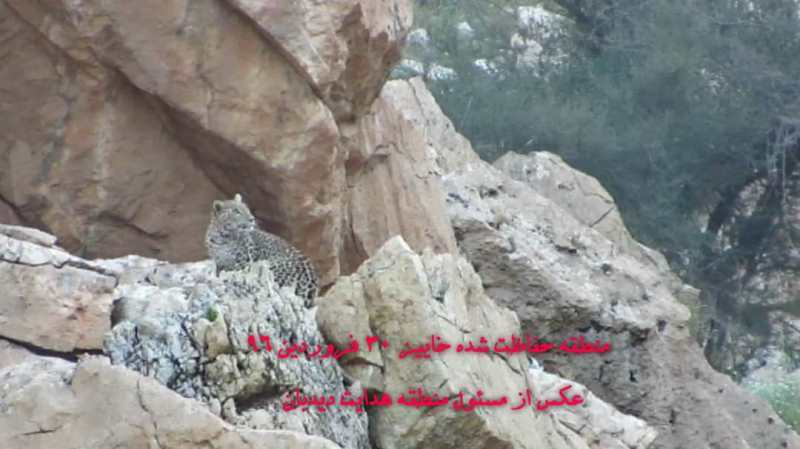 تصاویر تصاویر