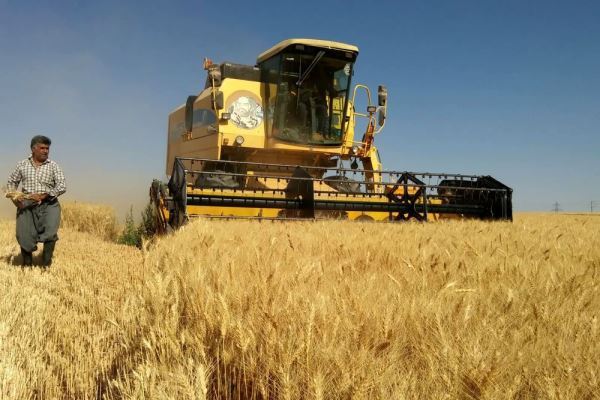 ۱۲۵ هزار تن گندم در استان سمنان برداشت شد؛ پرداخت ۹۶ درصد از مطالبات گندمکاران سمنانی ۱۲۵ هزار تن گندم در استان سمنان برداشت شد؛ پرداخت ۹۶ درصد از مطالبات گندمکاران سمنانی