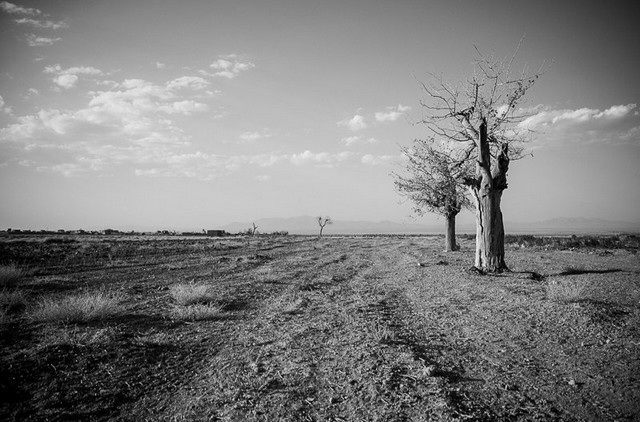 آسمانی که نمیبارد! آسمانی که نمیبارد!